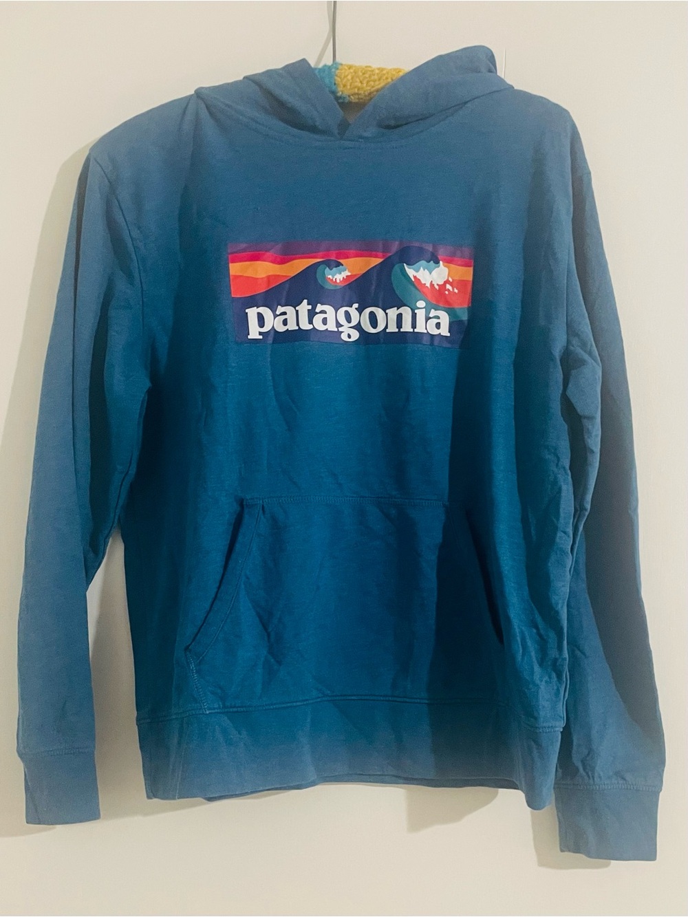 Patagonia Teal Blue Pullover Hoodie with Color Wave Logo
